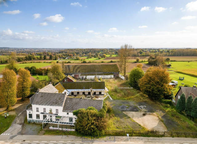 Handelspand te-koop in Oudenaarde
