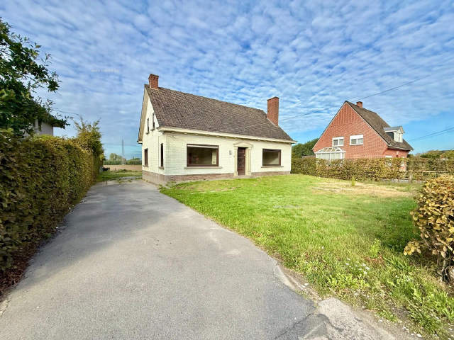 Huis te-huur in Anzegem
