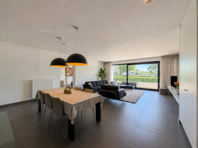 Handelspand te-koop in Oudenaarde