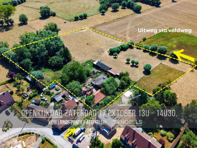 Bouwgrond te-koop in Bever