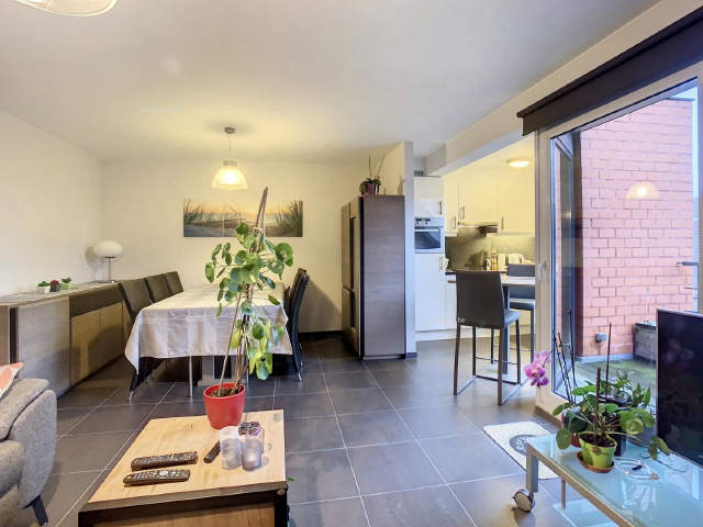 Appartement te-huur in Oudenaarde