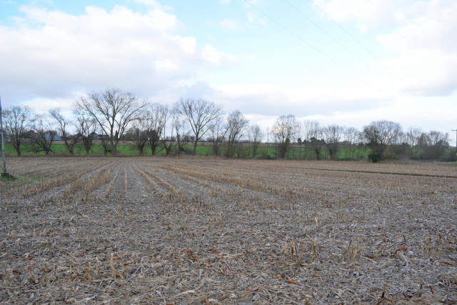 Bouwgrond te-koop in Asse
