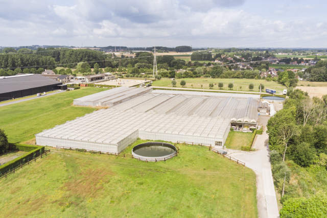 Handelspand te-huur in Ternat Wambeek