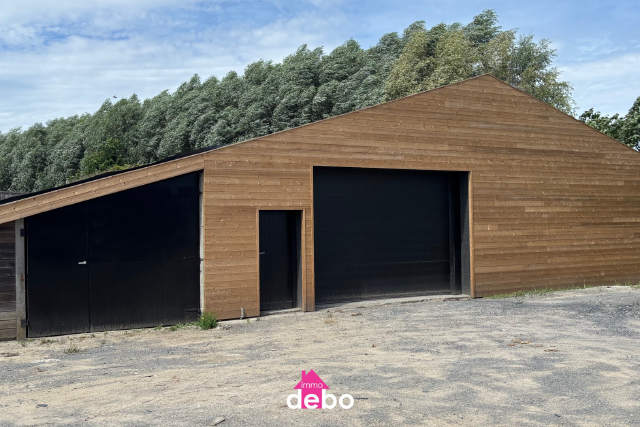Handelspand te-koop in Otegem