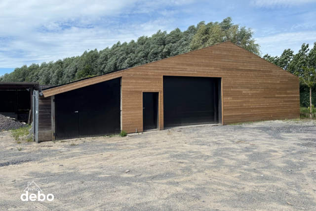 Handelspand te-koop in Otegem