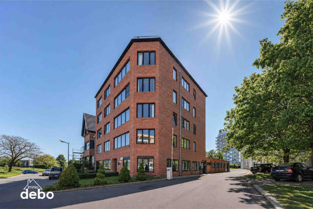 Handelspand te-koop in Kortrijk