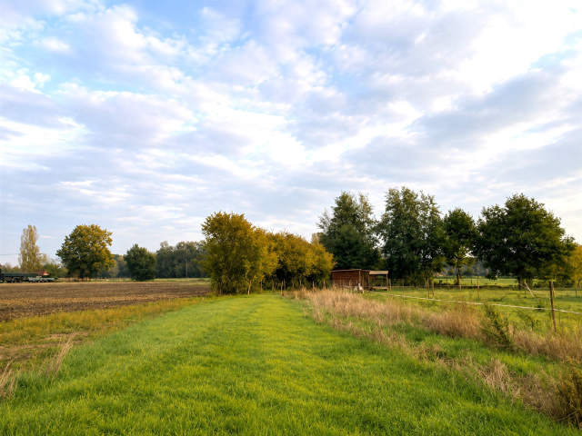 Bouwgrond te-koop in Waasmunster