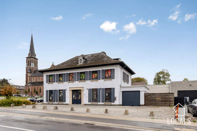 Handelspand te-koop in Haaltert