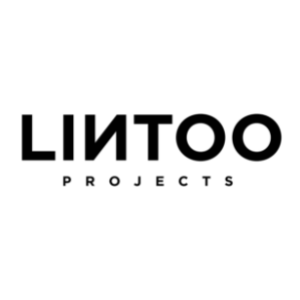 Logo Lintoo Projects