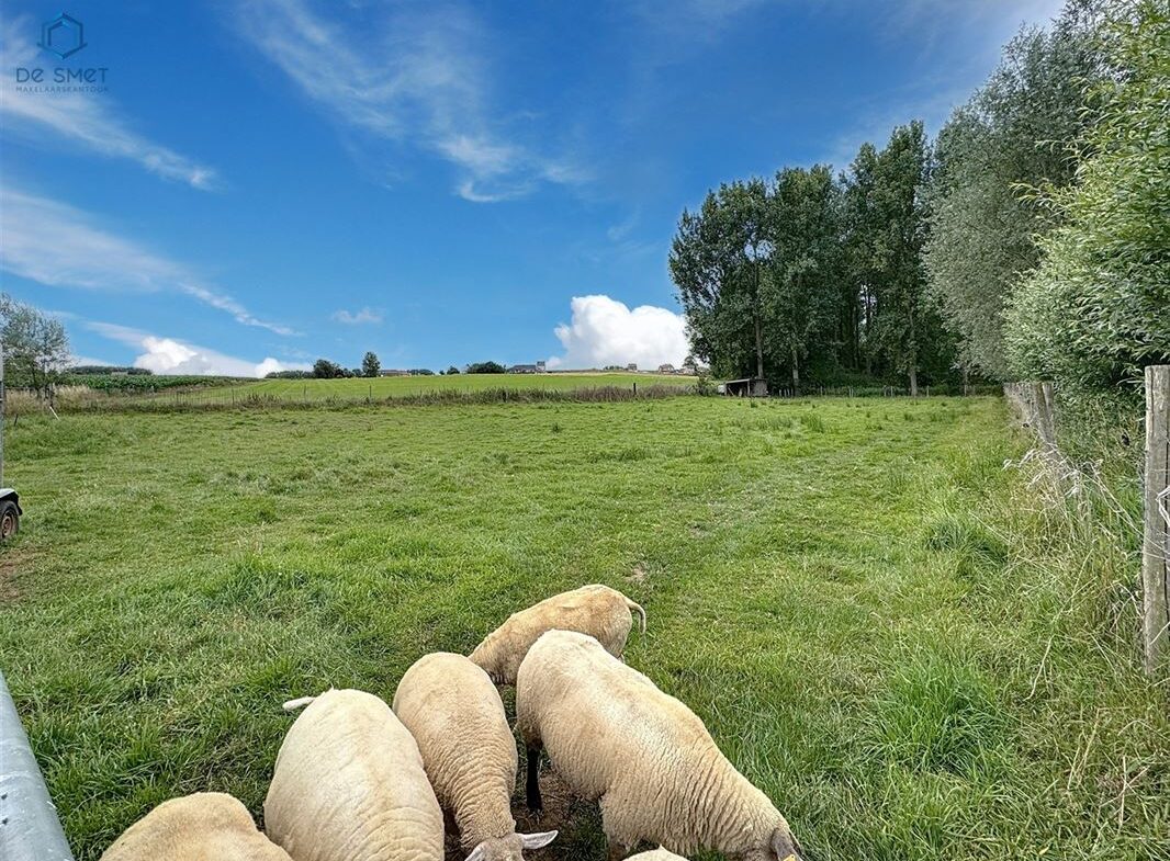 1066