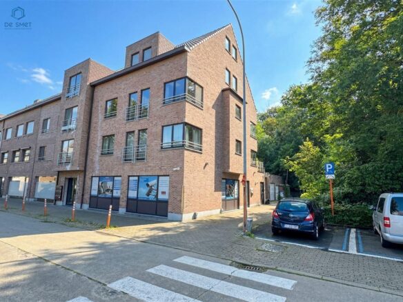 Parkstraat in GROTENBERGE