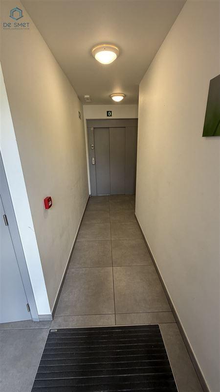 Brusselsesteenweg in MEERBEKE