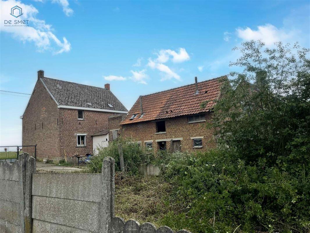 Boskouter in GERAARDSBERGEN