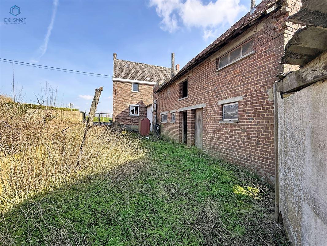 Boskouter in GERAARDSBERGEN