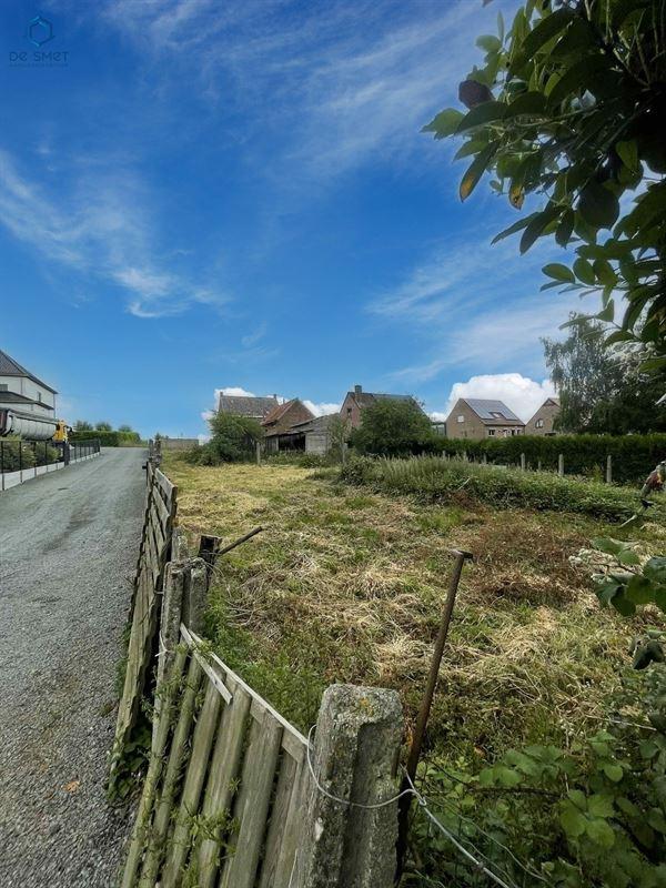 Boskouter in GERAARDSBERGEN