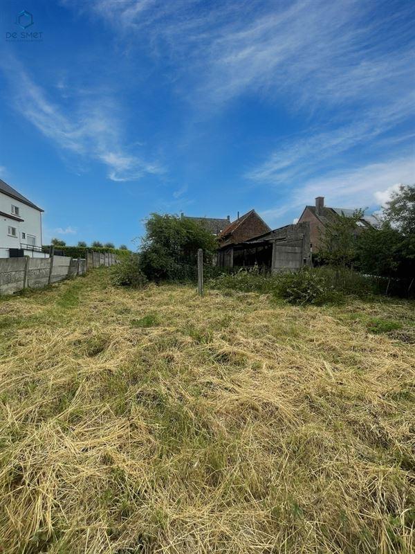 Boskouter in GERAARDSBERGEN